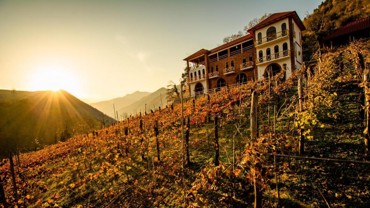Hotel Chateau Iveri Varjanisi Dış mekan fotoğraf