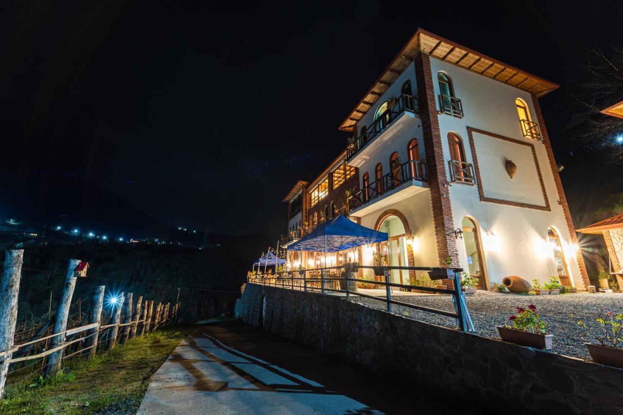 Hotel Chateau Iveri Varjanisi Dış mekan fotoğraf